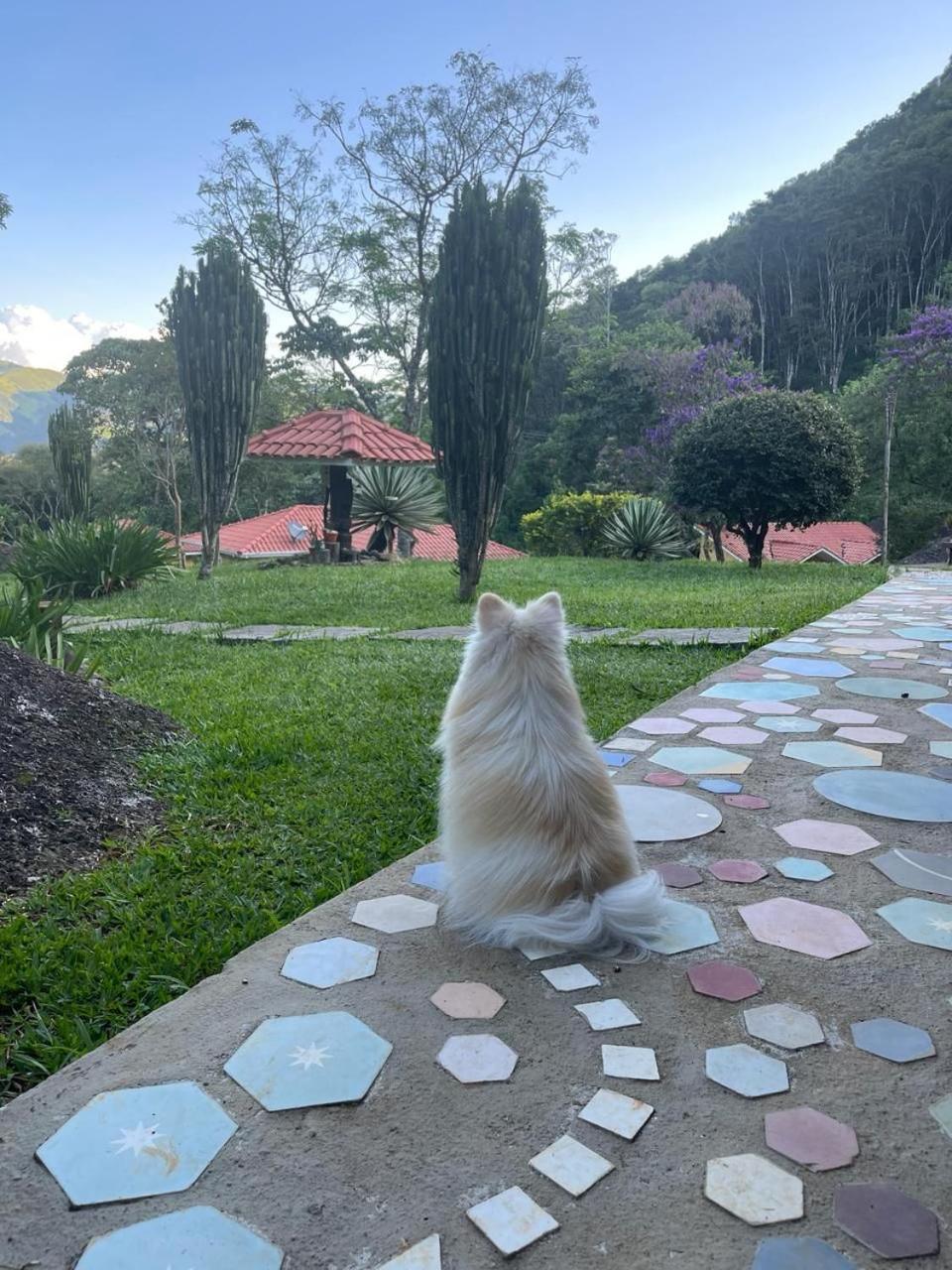 Pousada Caminhos De Gaia São Francisco Xavier Exteriör bild