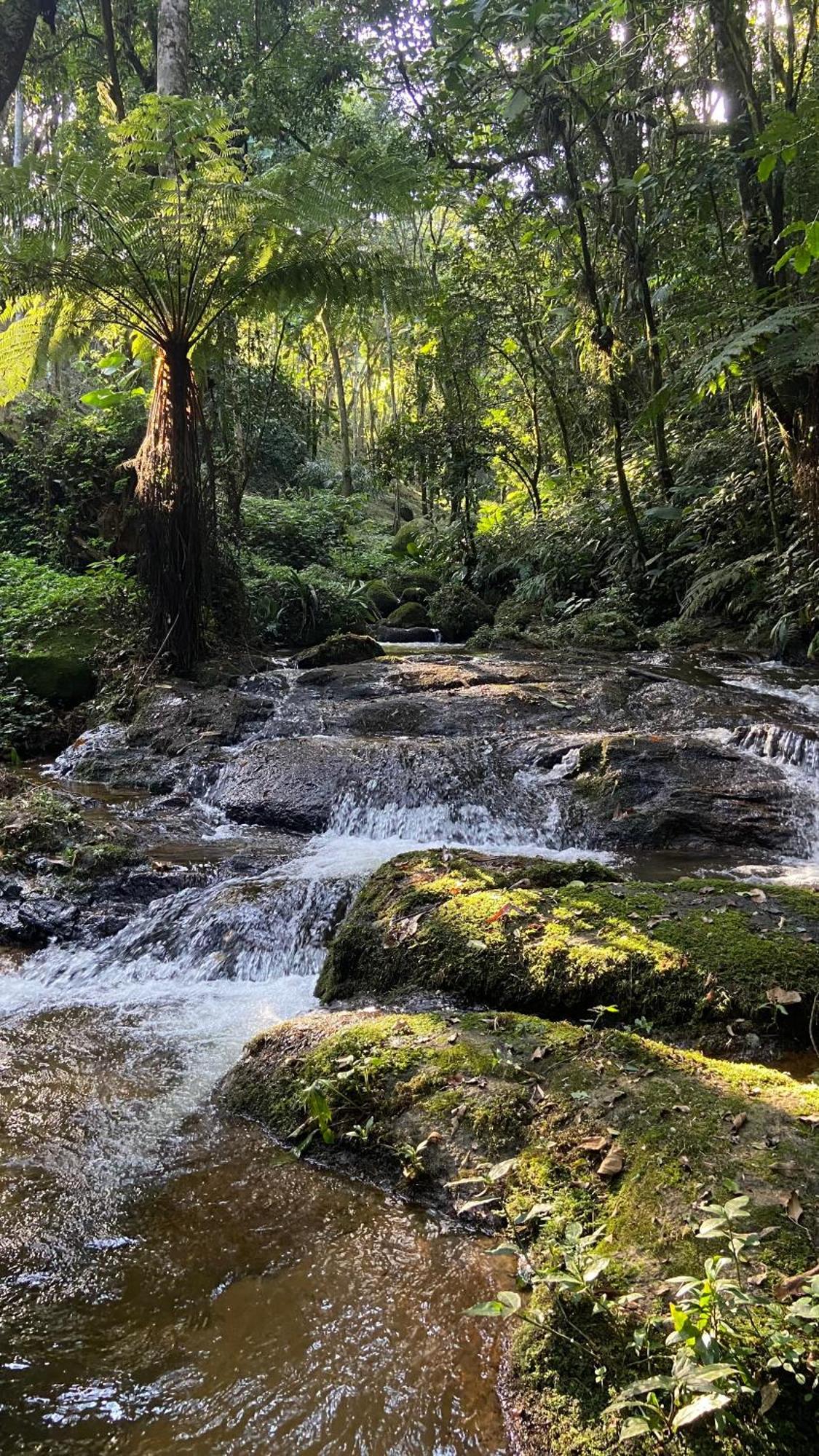 Pousada Caminhos De Gaia São Francisco Xavier Exteriör bild